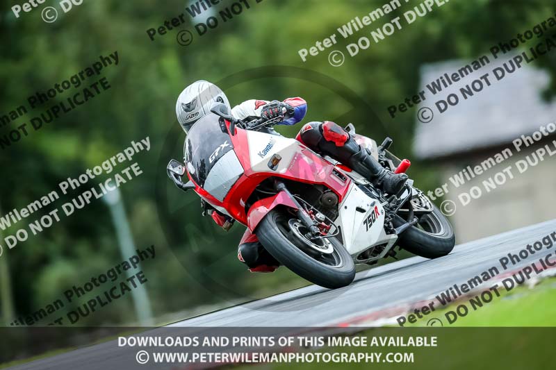PJ Motorsport 2019;anglesey;brands hatch;cadwell park;croft;donington park;enduro digital images;event digital images;eventdigitalimages;mallory;no limits;oulton park;peter wileman photography;racing digital images;silverstone;snetterton;trackday digital images;trackday photos;vmcc banbury run;welsh 2 day enduro